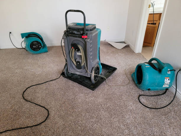 Best Local water damage restoration  in North Warren, PA
