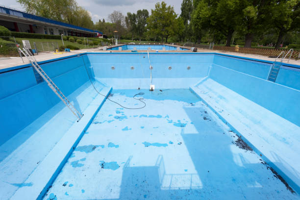 Best Mold removal after water damage  in North Warren, PA