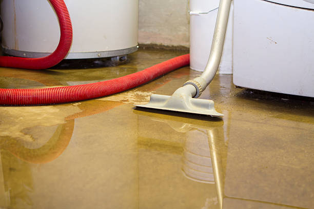 Best Water damage contractors near me  in North Warren, PA
