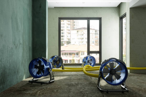 Best Water damage restoration process  in North Warren, PA