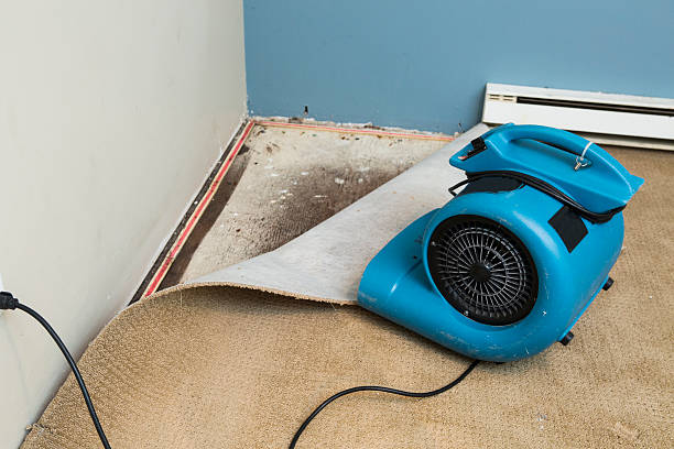  North Warren, PA Water damage restoration Pros